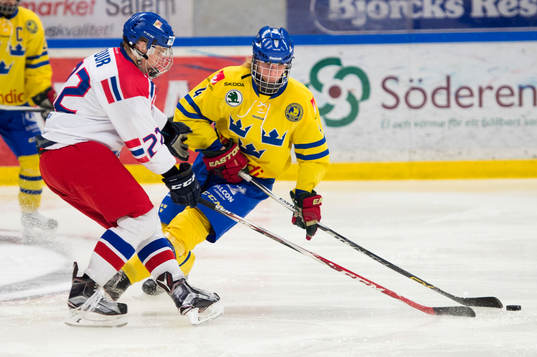 Sveriges Rasmus Dahlin och Tjeckiens Jakub Pour