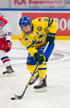 Sveriges Fabian Zetterlund