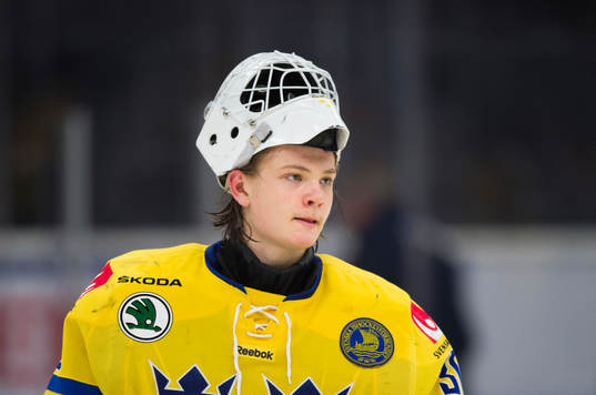 Sveriges målvakt Arvid Söderblom