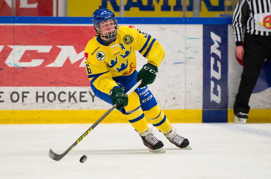 Sveriges Fabian Zetterlund
