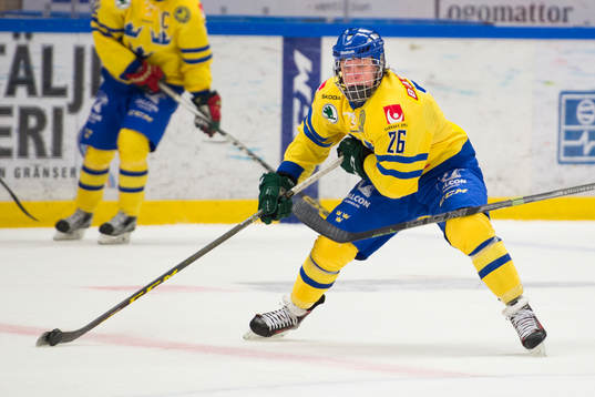 Sveriges Fabian Zetterlund