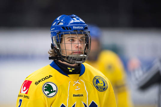 Sveriges Anton Björkman