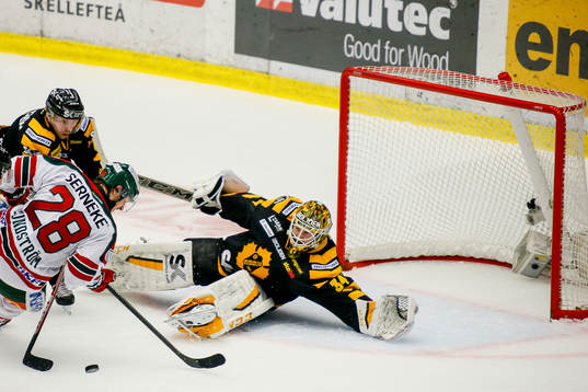 Skellefteås målvakt Erik Hanses