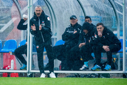 Helsingborgs manager Henrik Larsson