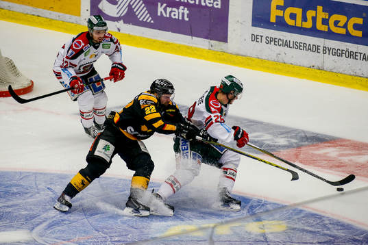 Skellefteås XX