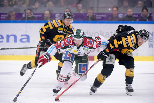 Frölundas Andreas Johnson och Skellefteås Niclas Burström
