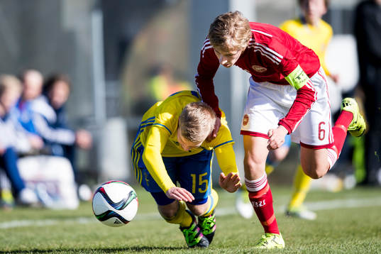 Sveriges Bilal Smajic faller