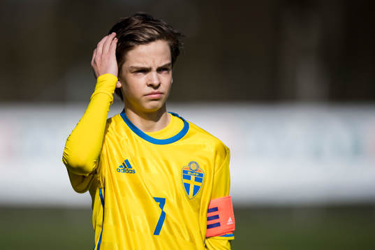 Sveriges Ville Norrman