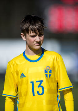 Sveriges Albin Mörfelt