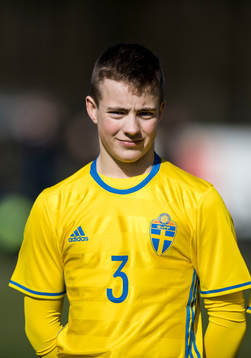 Sveriges Max Johansson