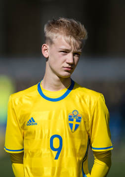 Sveriges Carl Gustafsson