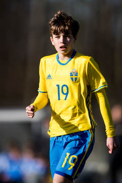 Sveriges Theodor Johansson