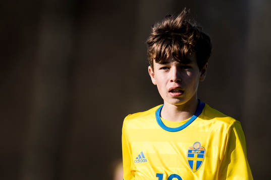 Sveriges Theodor Johansson