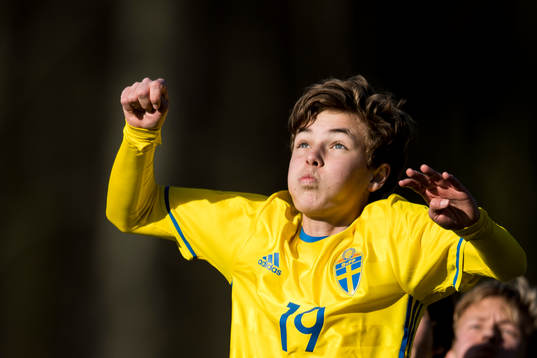 Sveriges Theodor Johansson