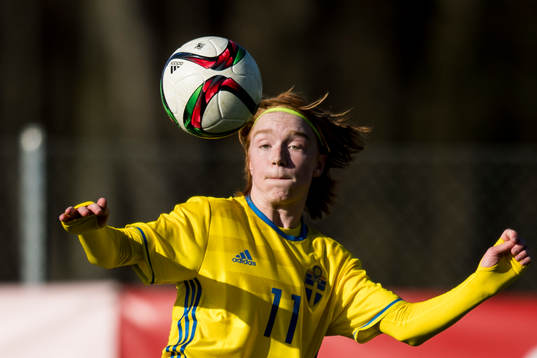Sveriges Vetle Larsen