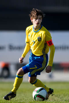 Sveriges Ville Norrman