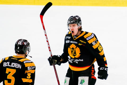 Skellefteås Sebastian Aho och Niclas Burström jublar