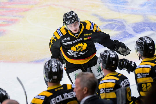 Skellefteås Sebastian Aho jublar