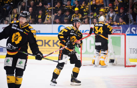 Skellefteås Niclas Burström deppar