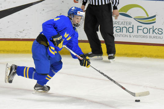 Sveriges Erik Brännström