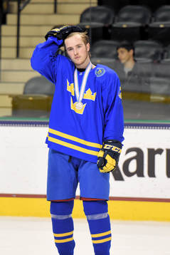 Sveriges tim Wahlgren deppar