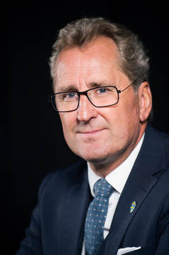 Sveriges förbundskapten Erik Hamrén