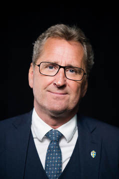 Sveriges förbundskapten Erik Hamrén