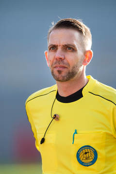 Domare Johan Hamlin