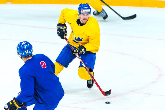 Niclas Burström