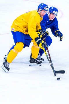 Robert Rosen och Erik Gustafsson