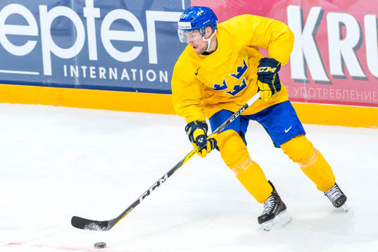 Robert Rosen