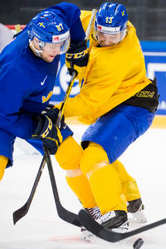 Robert Rosen i tekning med Mattias Ritola
