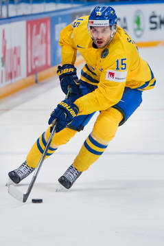 Sveriges Mattias Sjögren