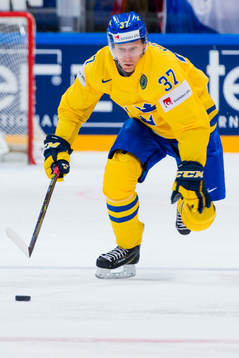 Sveriges Johan Norman