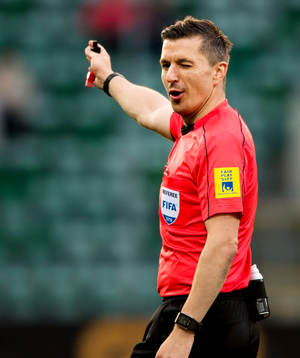 Domare Bojan Pandzic