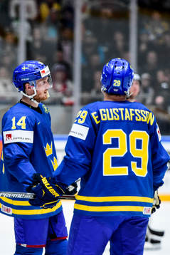 Sveriges Gustav Nyquist och Erik Gustafsson deppar