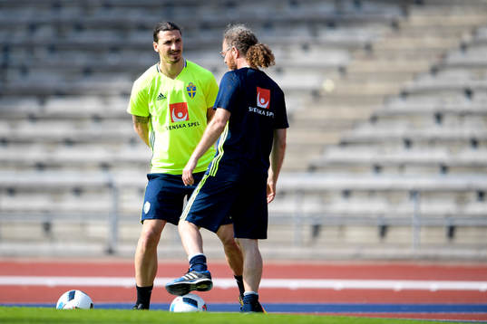 Sveriges Zlatan Ibrahimovic och sjukgymnast Rickard Dahan i