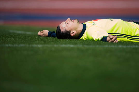 Zlatan Ibrahimovic
