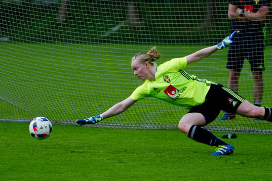 Hedvig Lindahl