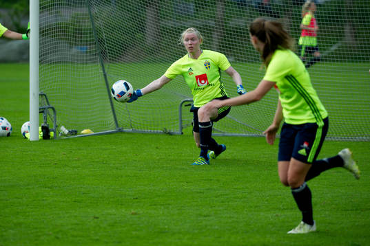 Hedvig Lindahl