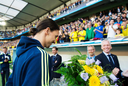 Sveriges Zlatan Ibrahimovic lämnar planen
