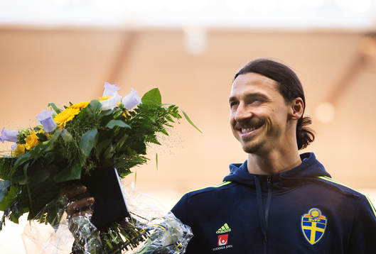 Sveriges Zlatan Ibrahimovic hyllas av publiken i