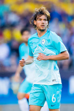 Sloveniens Rene Krhin
