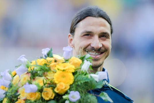 Sveriges Zlatan Ibrahimovic hyllas av publiken