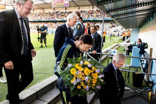 Sveriges Zlatan Ibrahimovic lämnar planen