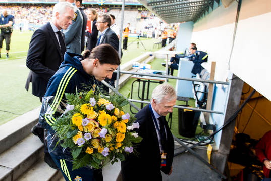 Sveriges Zlatan Ibrahimovic lämnar planen