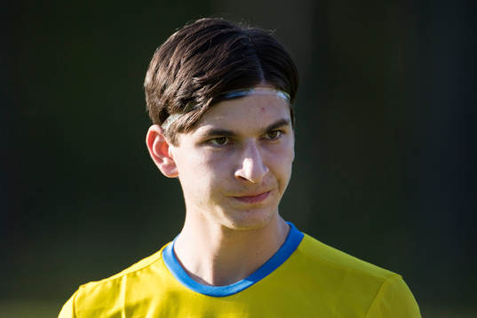 Sveriges Besard Sabovic