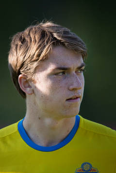 Sveriges Carl Johansson