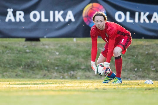 Sveriges Viktor Johansson