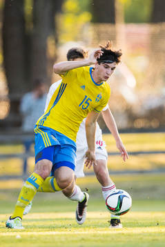 Sveriges Besard Sabovic